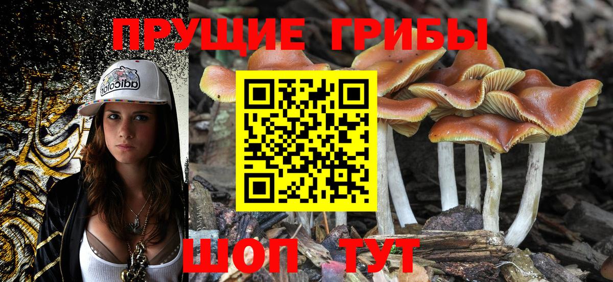 Псилоцибиновые грибы MAGIC MUSHROOMS Жигулёвск